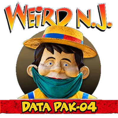 Data Pak-04